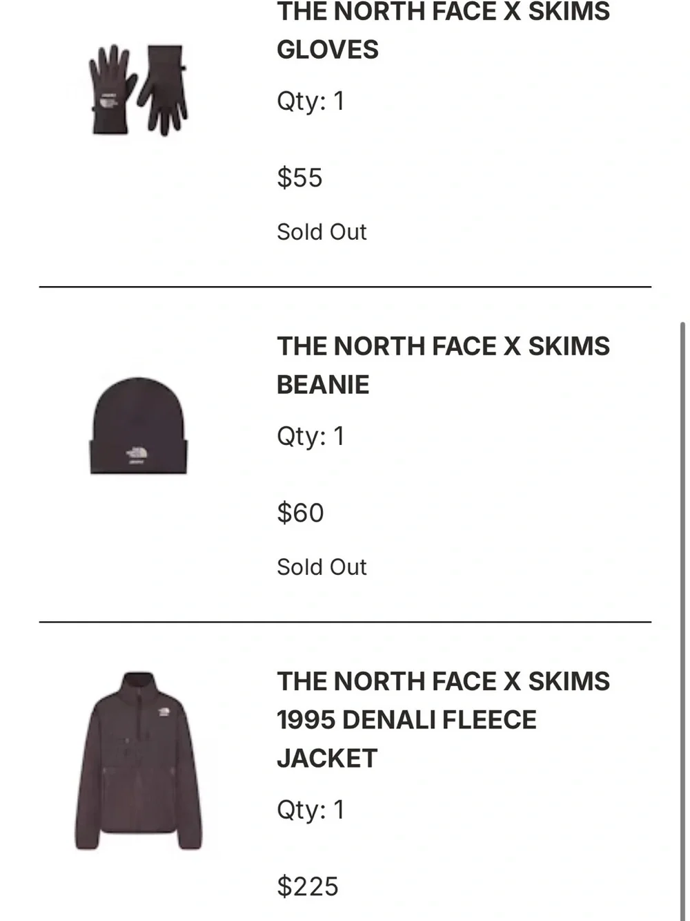(NWT)THE NORTH FACE X SKIMS 1995 DENALI FLEECE JACKET, Beanie and Gloves